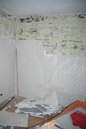 Walls and Insulation