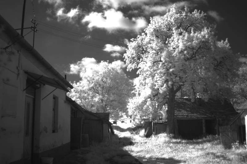 Infra-red looking away from the house
